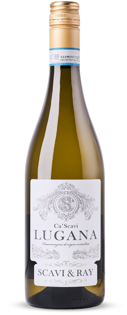 SCAVI-RAY_glass-750ml_Weine-Ca-Scavi-Lugana-DOC